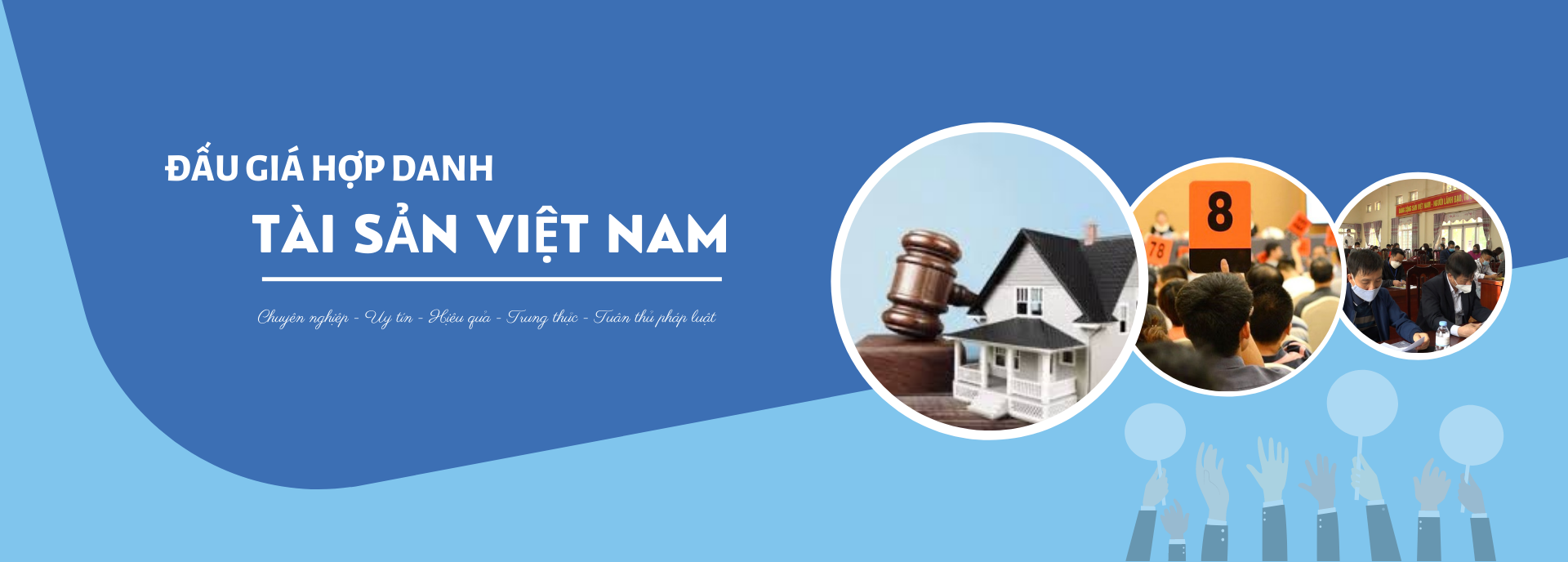 Công ty Đấu giá Hợp danh Tài sản Việt Nam
