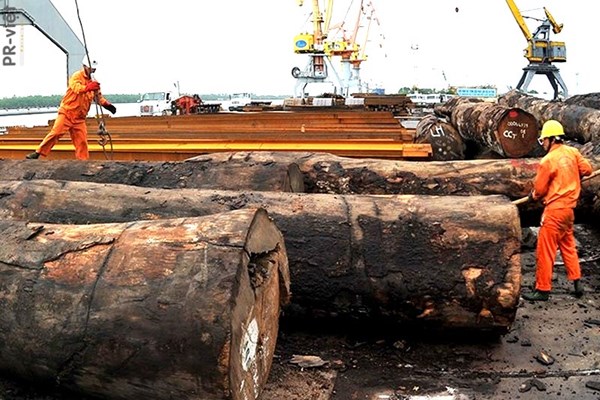 Cung cấp gỗ nhập khẩu