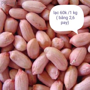 Lạc bóc vỏ 60