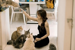 Kinh doanh quán cafe thú cưng – xu hướng khởi nghiệp cực HOT cho giới trẻ