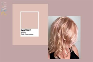 Xu hướng màu sắc được giới trẻ yêu thích nhất năm 2020